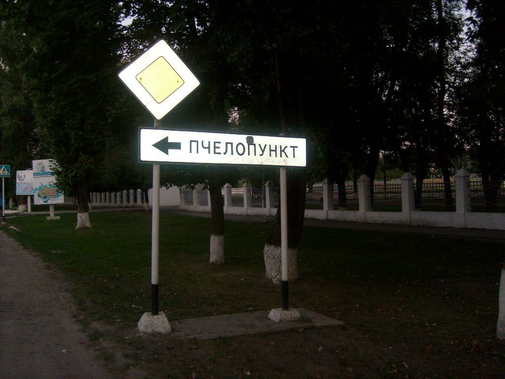 Дмитрий Чернов фотография #49