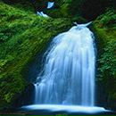 Міша Данч фотография #1