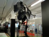 Фотография Дегтярева Юры