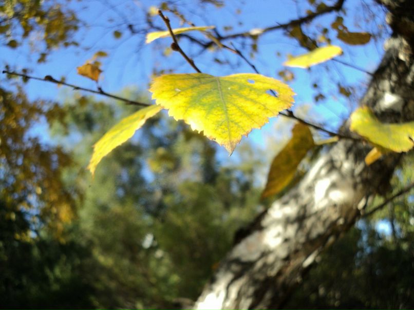 Наталья Д фотография #7