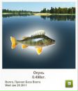 Сергій Брусяк фотография #35 (источник - https://vk.com/id58153311)
