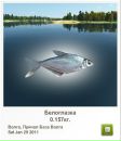 Сергій Брусяк фотография #32 (источник - https://vk.com/id58153311)