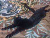 Сергій Папроцький фотография #2 (источник - https://vk.com/id11061303)