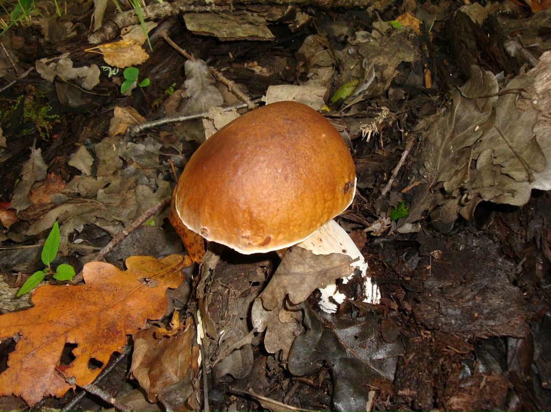 Эмма Кубло фотография #43