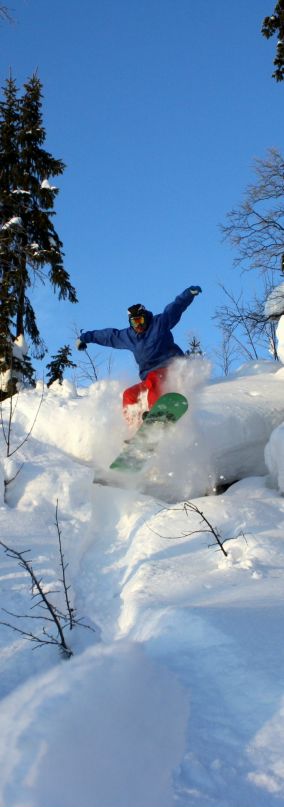 Fred Dead фотография #19