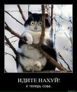 Фотография Рябченко Тани