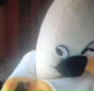 Фотография Нечая Геннадія