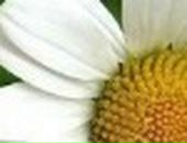 Яна Excale фотография #41 (источник - https://vk.com/id727315)