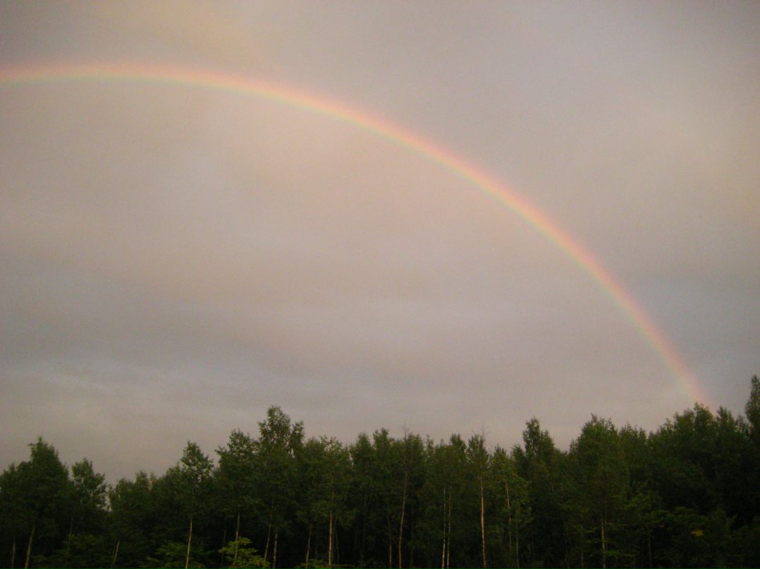 Дмитрий Линьков фотография #24