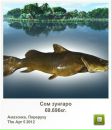 Сергій Чернець фотография #47 (источник - https://vk.com/id55270381)