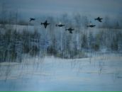 Фотография Ефимова Романа