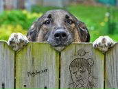 Фотография Налётова Ванька