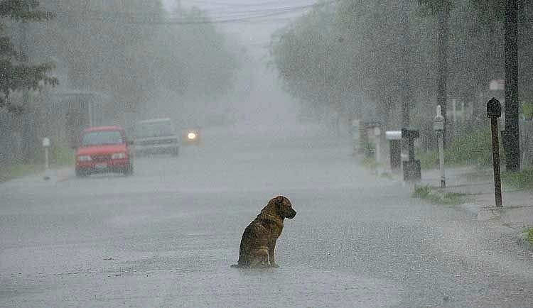 Пабло Алтын фотография #12