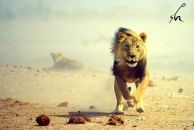 Славік Пліш фотография #21 (источник - https://vk.com/id20014691)