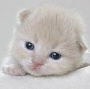 Іннуся Варварич фотография #40 (источник - https://vk.com/id160732866)