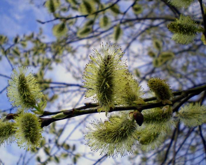 Виктор Баев фото №33