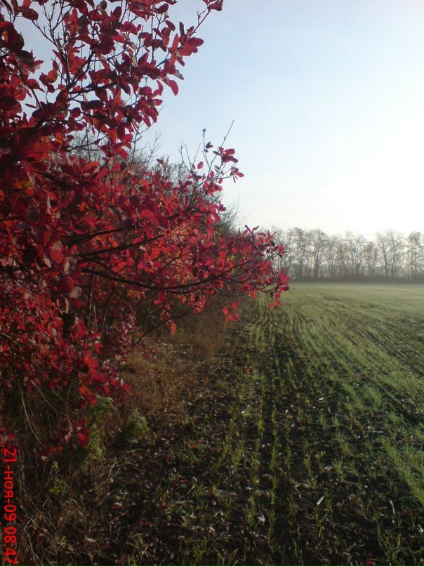 Павел Пашенко фотография #32