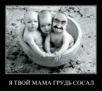 Влодко Сірий фотография #39 (источник - https://vk.com/id3605006)