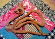 Фотография Марковой Ларисы