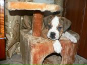 Фотография Кузнецовой Кати