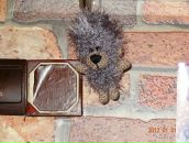 Фотография Ёжиковой Натальи