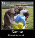 Сашка Кисель фотография #29 (источник - https://vk.com/id12893629)