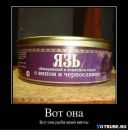 Богдан Багінський фотография #6 (источник - https://vk.com/id113596919)