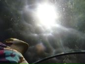 Фотография Иванова Андрея