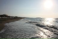 Евгений Иевлев фотография #35 (источник - https://vk.com/id2978352)