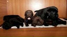 Фотография Свидерскаяа Татьяны