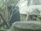 Клевый Парень фотография #45 (источник - https://vk.com/id391001)