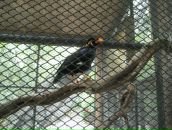 Клевый Парень фотография #33 (источник - https://vk.com/id391001)