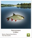 Віталій Холодило фотография #7 (источник - https://vk.com/id153465893)