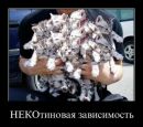 Діма Барон фотография #35 (источник - https://vk.com/id52504283)