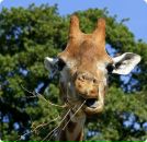 Фотография Федотовой Евгении