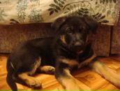 Фотография Каплановой Вики