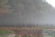 Михаил Яковлев фотография #22 (источник - https://vk.com/id2403530)