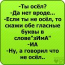 Вікуся Макшайт фотография #44 (источник - https://vk.com/id66079486)