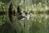 Фотография Бабарыкиной Венеры