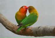 Фотография Косогова Максима