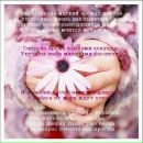 Фотография Приморской Марины