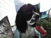 Фотография Петуховой Ольги