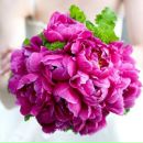 Фотография Тебеньковой Любаши