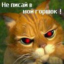 Андрій Назарець фотография #47 (источник - https://vk.com/id65065180)