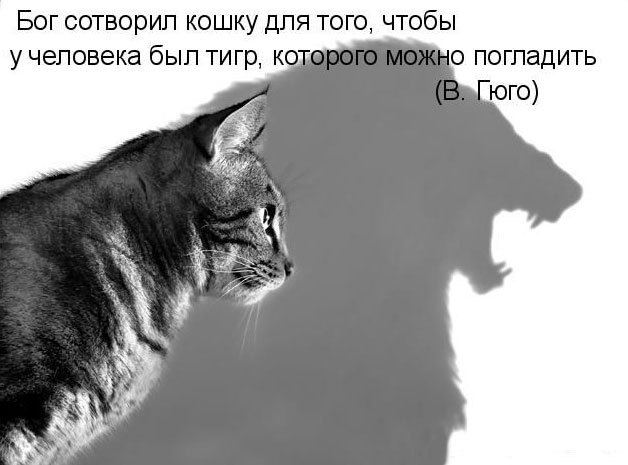 Бэлла Климанова фотография #11