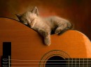 Игорь Rock_fan фотография #1