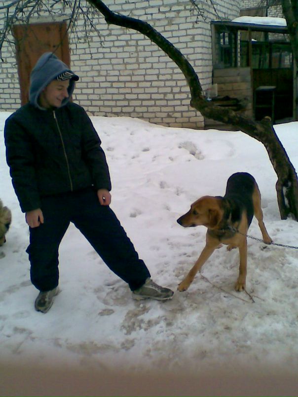 Михаил Софронов фотография #12