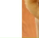 Разбитое Сердце фотография #6 (источник - https://vk.com/id611602)