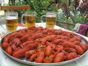 Фотография Свистунова Романа