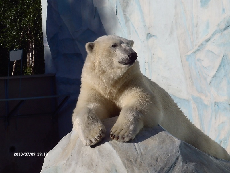 Иван Баргаев фотография #17